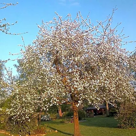 Domaine Les Marronniers فندق Merville (Haute-Garonne)