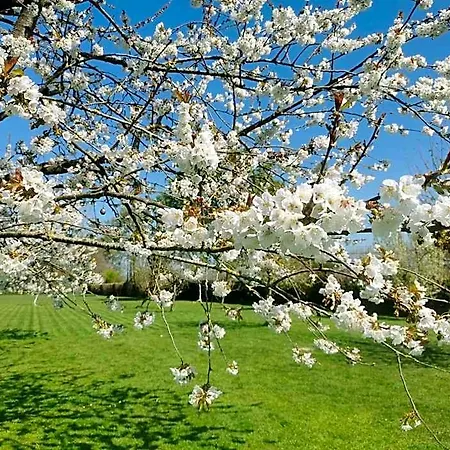 Domaine Les Marronniers فندق 4*